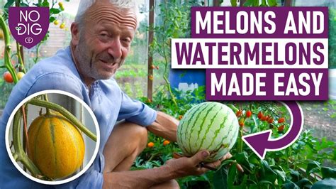 melons tubes